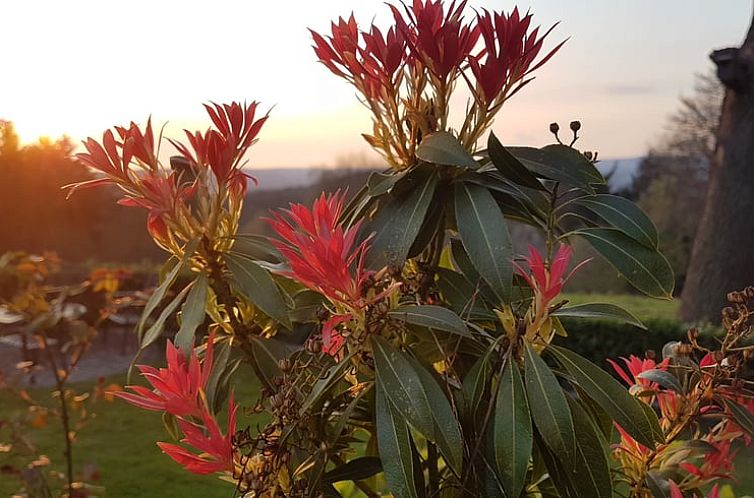 Huisje in Tecklenburg
