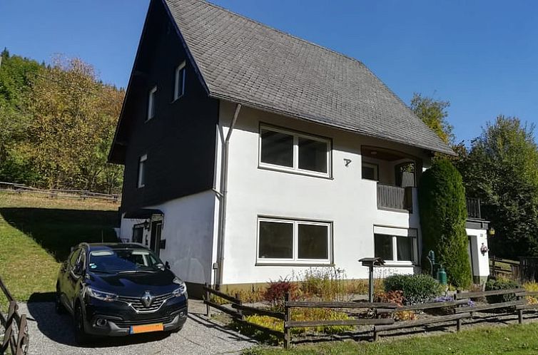 Geniet van de groene omgeving bij Huisje in Schmallenberg - Rehsiepen, een vakantiehuis in het serene landschap van Noordrijn-Westfalen.