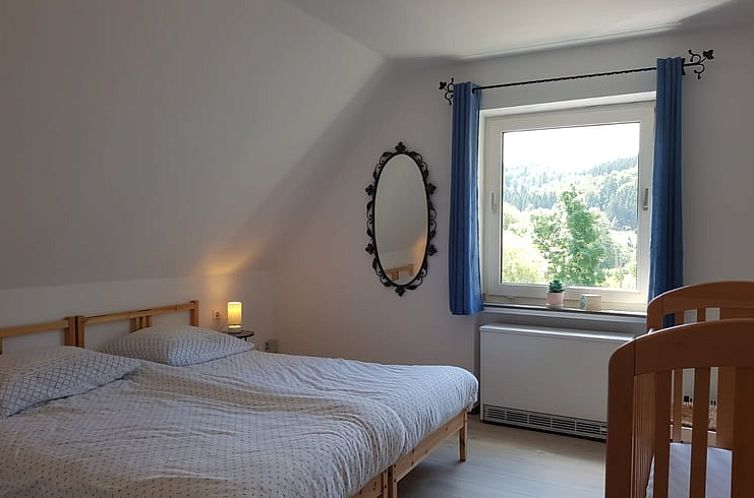 Huisje in Schmallenberg - Rehsiepen