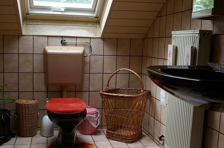 Appartement Komfortable Ferienwohnung in Waldnähe