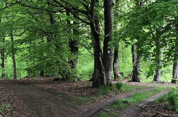 Vakantiehuis in Dalhausen