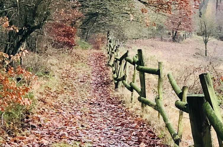 Vakantiehuis in Dalhausen