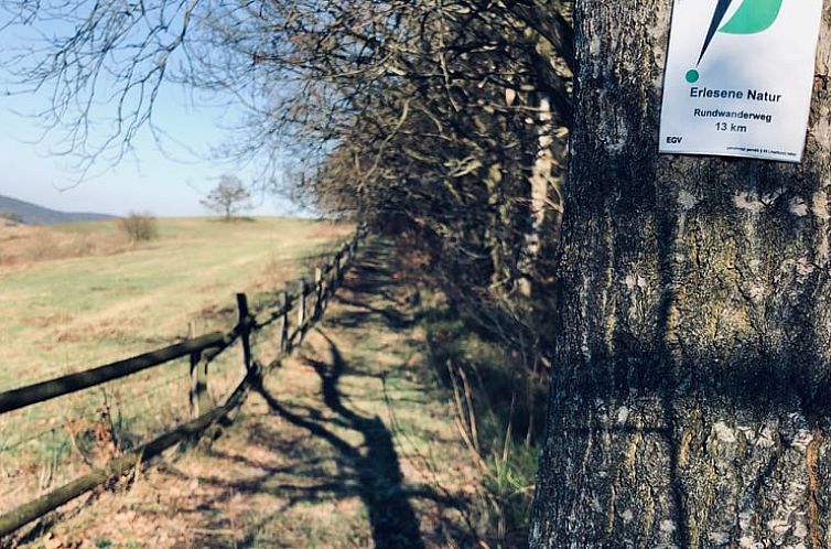 Vakantiehuis in Dalhausen