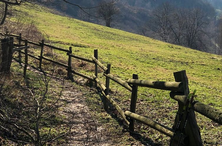 Vakantiehuis in Dalhausen