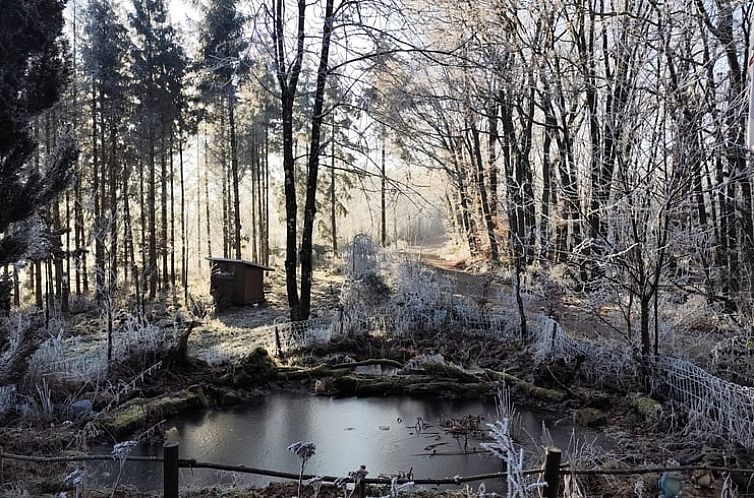 Vakantiehuisje in Oberpierscheid