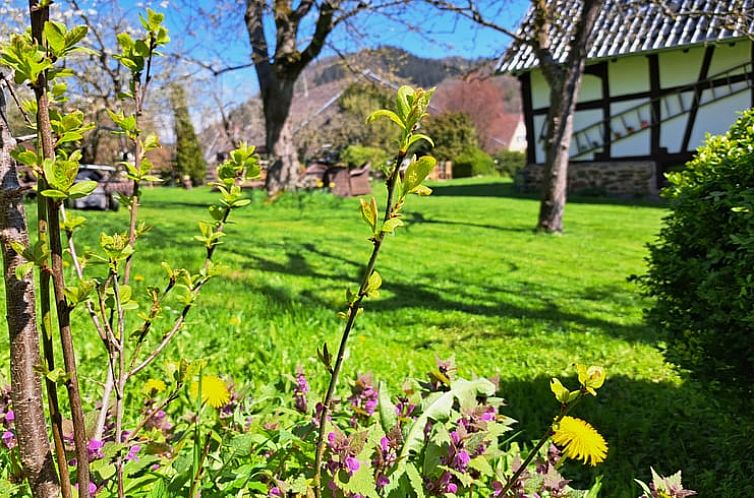 Vakantiehuisje in Antweiler