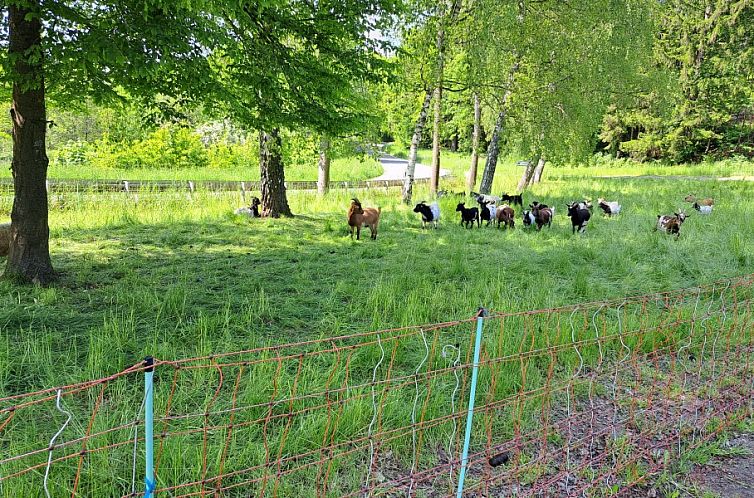 Am Sternberg Frankenau