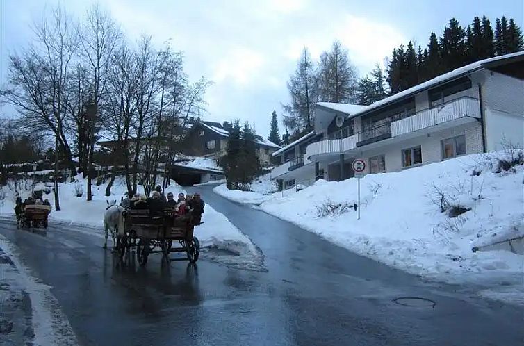 Unterkunft 0280711 - Ferienhaus Sauerland - Villa Boskoop