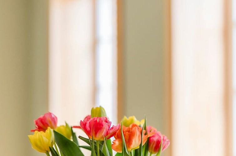 Vakantiehuis in Meschede