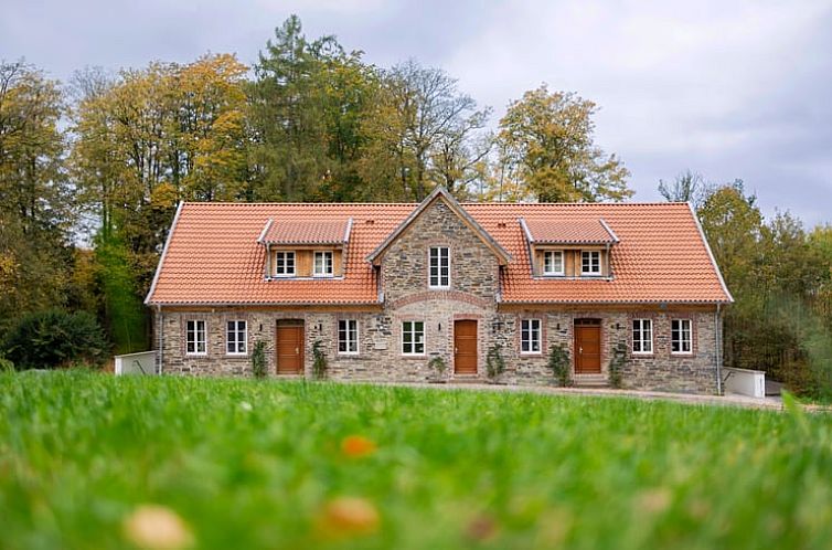 Ervaar de natuur in het Vakantiehuisje in Meschede, een idyllisch verblijf in Sauerland, Duitsland, omgeven door prachtige bossen.