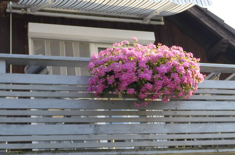 Appartement Wohnung in Heringhausen mit Grill