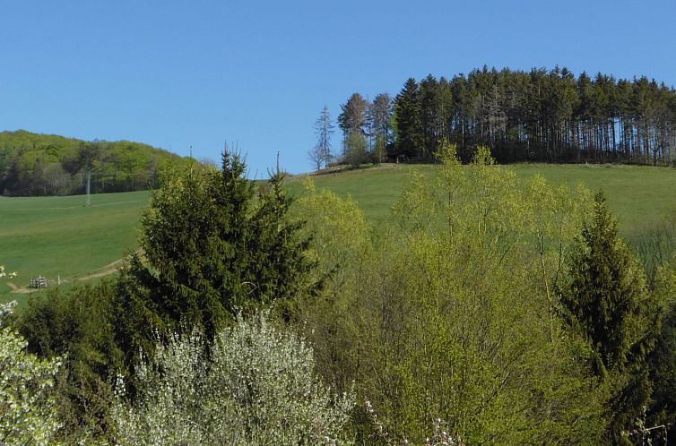 Appartement Wohnung in Heringhausen mit Grill
