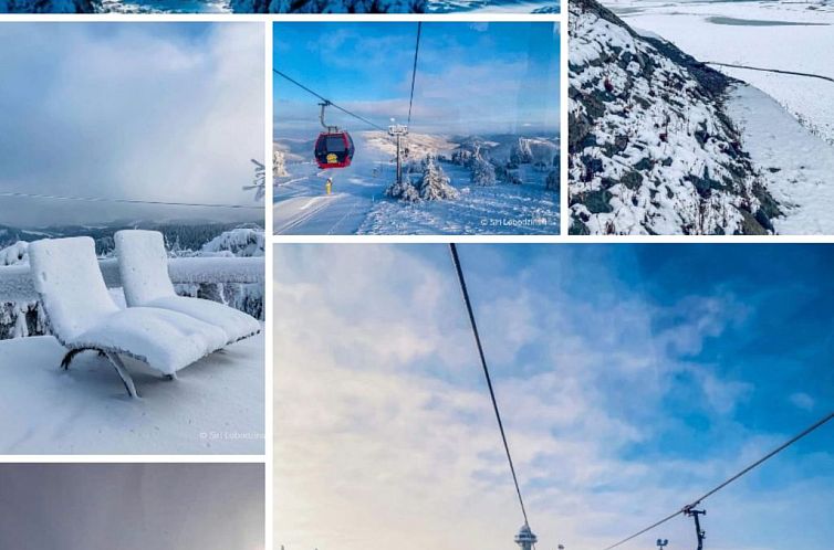 Appartement Top Ferienwohnung am Diemelsee, Sauerland Nähe 