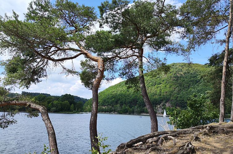 Appartement Top Ferienwohnung am Diemelsee, Sauerland Nähe 