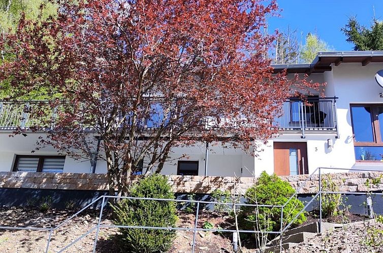 Appartement Chalet am Diemelsee