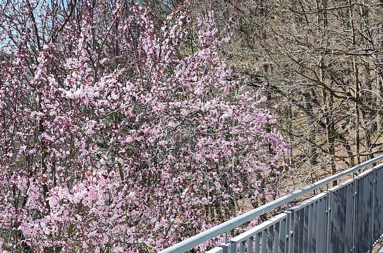 Appartement Chalet am Diemelsee