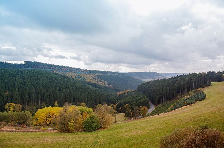 Appartement in Winterberg