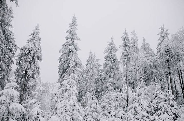 Vakantiehuis in Küstelberg / Winterberg