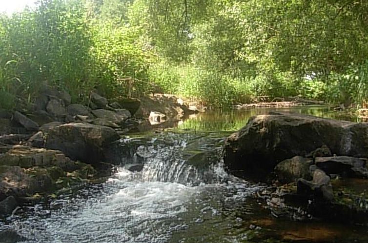 Appartement grosse, hundfreundliche Ferienwohnung in der Nä