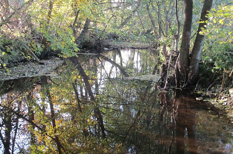 Appartement grosse, hundfreundliche Ferienwohnung in der Nä
