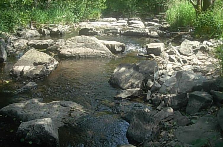 Appartement grosse, hundfreundliche Ferienwohnung in der Nä