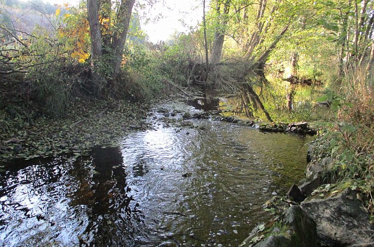 Appartement grosse, hundfreundliche Ferienwohnung in der Nä