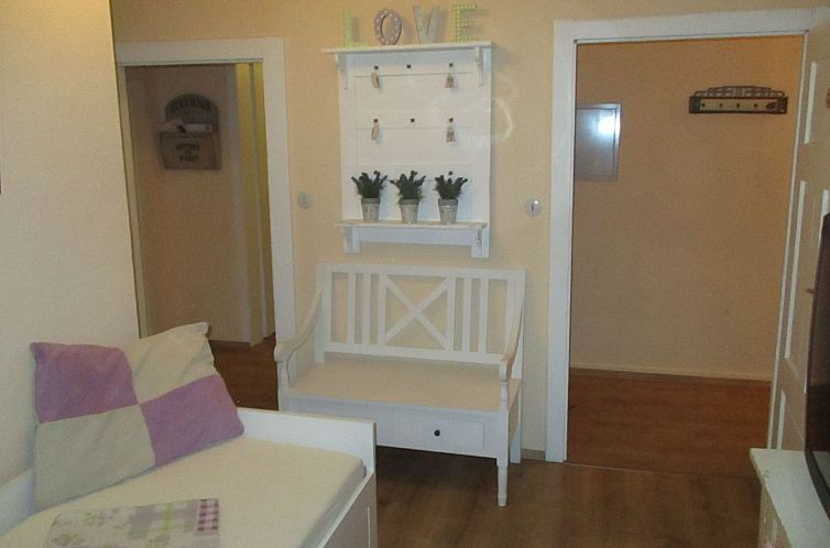 Appartement grosse, hundfreundliche Ferienwohnung in der Nä