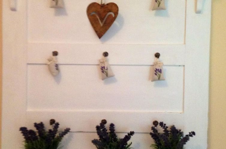 Appartement grosse, hundfreundliche Ferienwohnung in der Nä