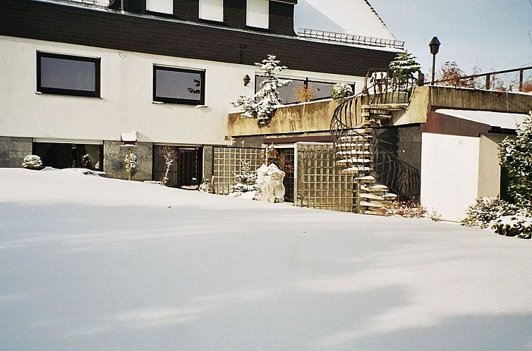 Guest house 02810411 - Apartment Sauerland - Appartement mit eigener Terrasse