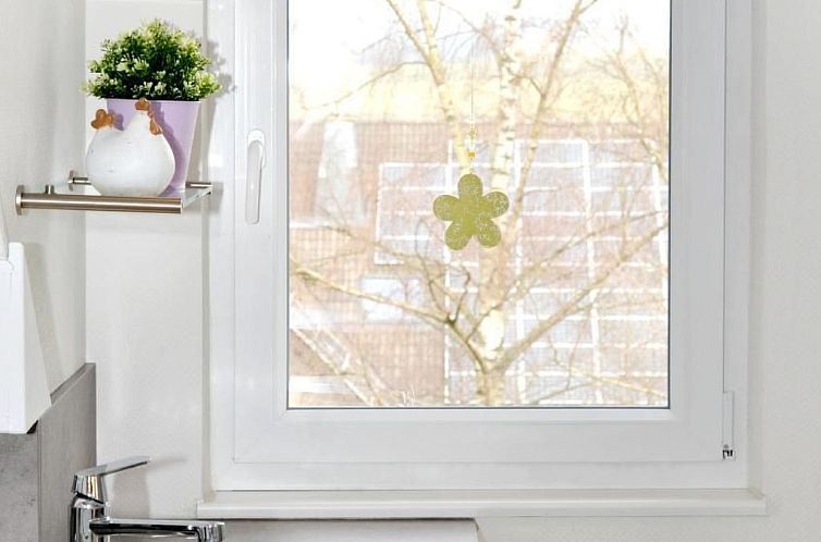 Appartement in Feldmannshof mit Grill und Garten