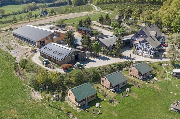 Huisje in Schmallenberg, een vakantieverblijf in Sauerland, Duitsland, biedt een prachtig uitzicht op de omliggende natuur en boerderijgebouwen.