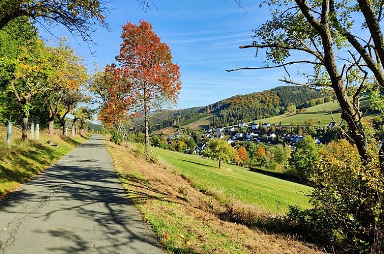 Huisje in Olsberg-Elpe