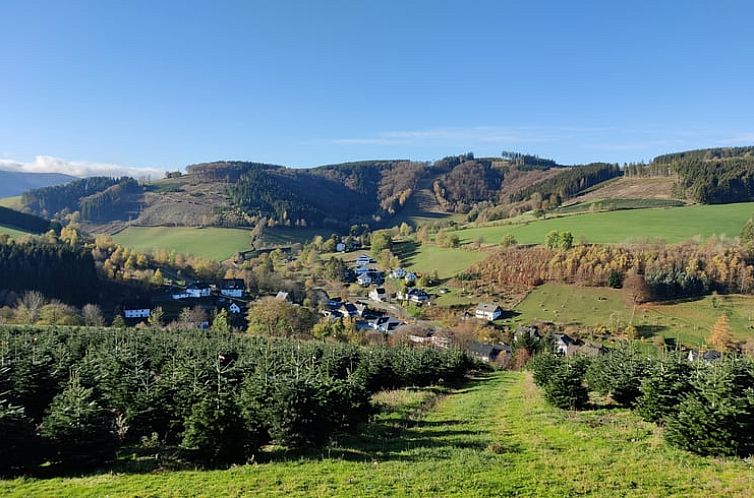 Huisje in Olsberg-Elpe