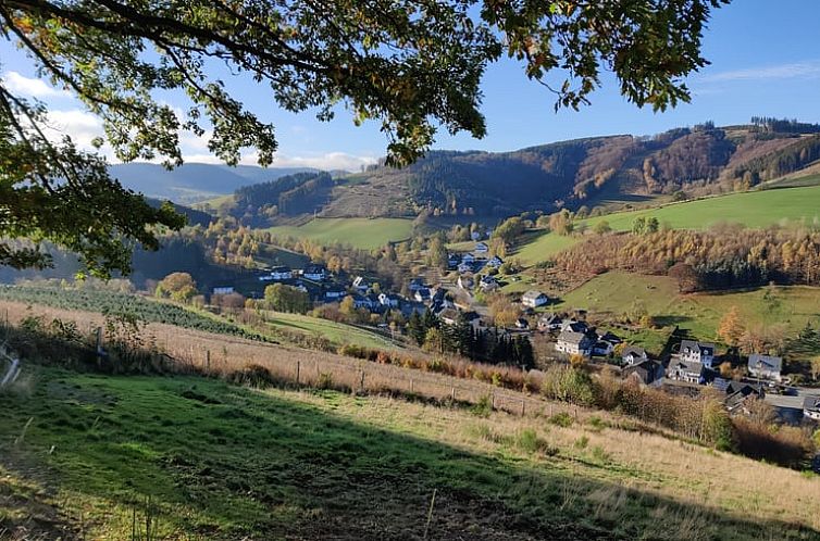 Huisje in Olsberg-Elpe