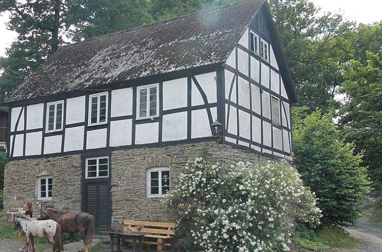 Vakantiehuis in Eslohe