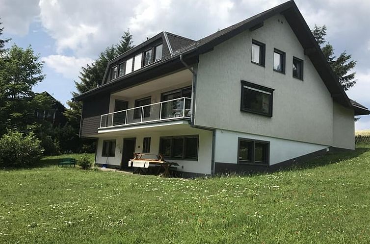 Geniessen Sie ein Ferienhaus in Winterberg-Neuastenberg, umgeben von Natur und Ruhe im schoenen Sauerland, Deutschland.