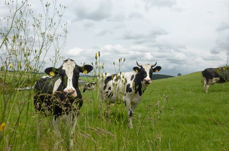 Vakantiehuisje in Sudeck