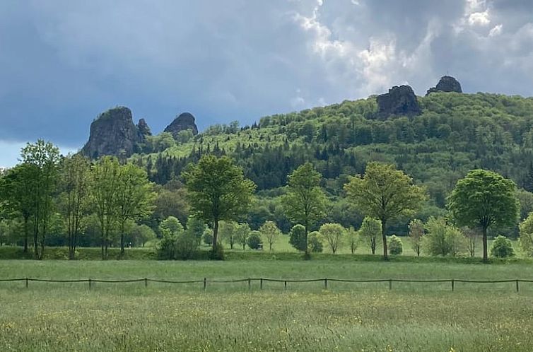 Vakantiehuisje in Olsberg