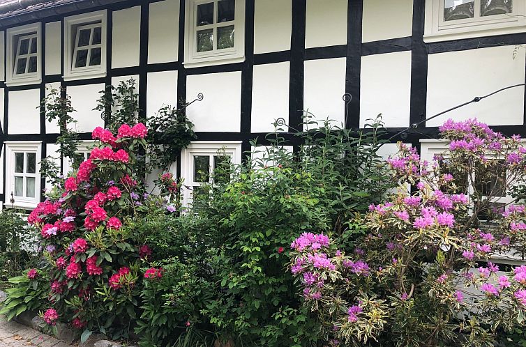 Appartement Fachwerkliebe