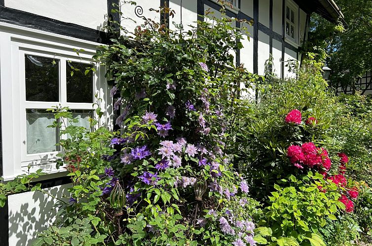 Appartement Fachwerkliebe