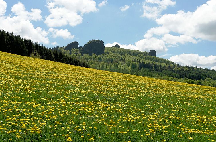 Appartement Fachwerkliebe
