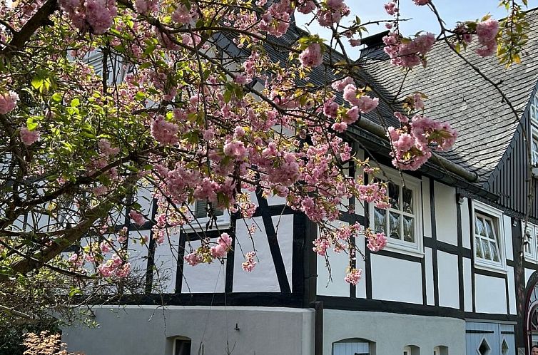 Appartement Fachwerkliebe