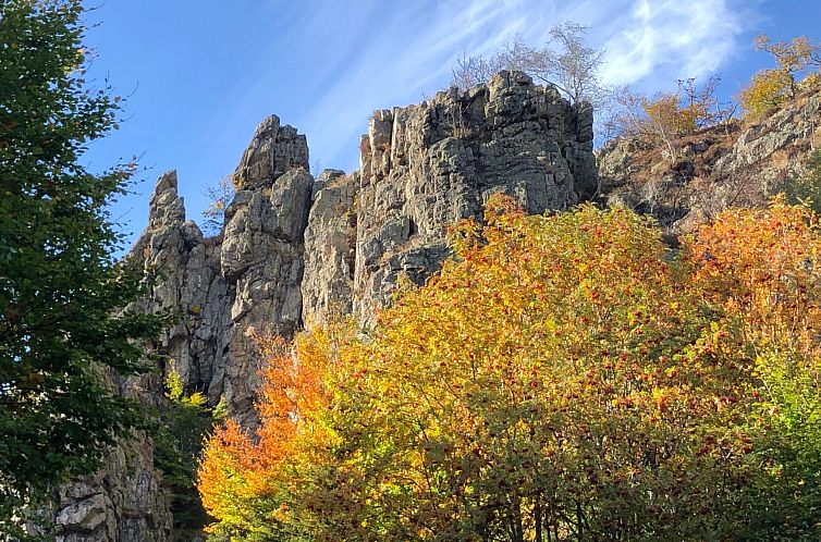 Appartement Fachwerkliebe
