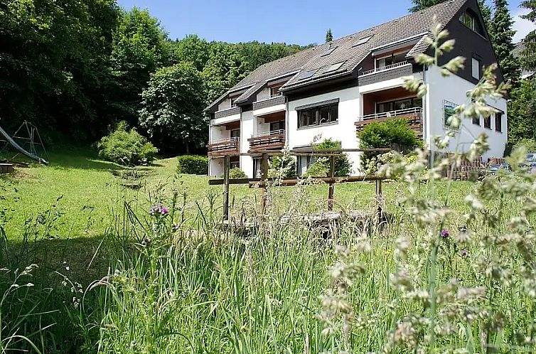 Unterkunft 0289305 - Appartement Sauerland - Hochsauerland Elpe Flussblick
