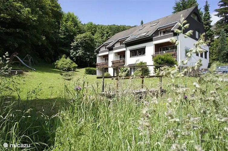 Unterkunft 0289309 - Appartement Sauerland - Hochsauerland Elpe Waldblick