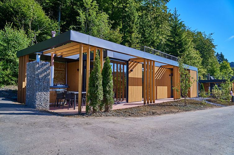 Vrijstaande woning in Winterberg