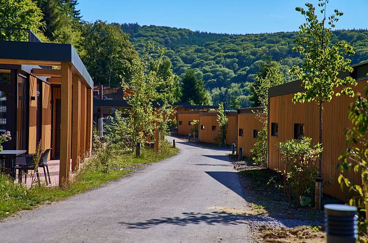 Vrijstaande woning in Winterberg