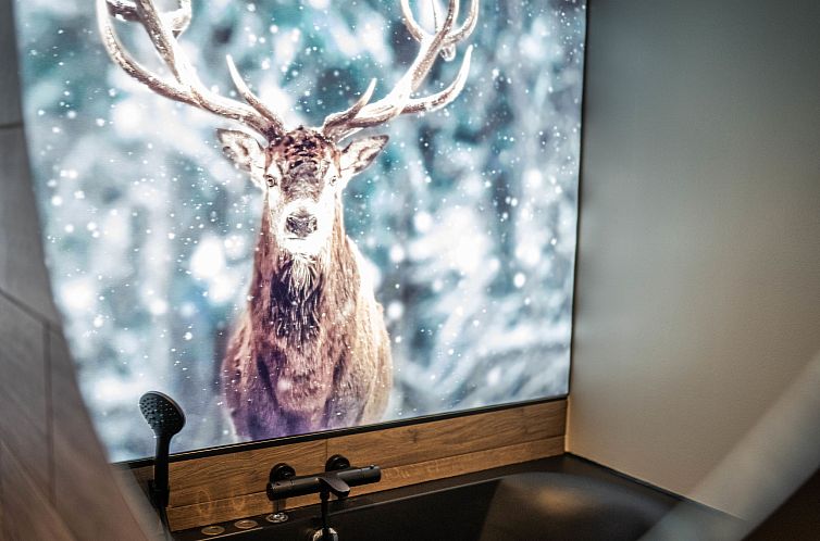 Appartement Gruppe Rothaarsteig / 2 Wohneinheiten