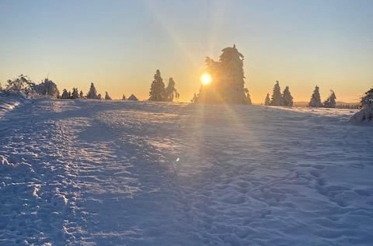 Appartement in Winterberg