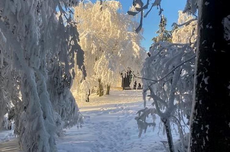 Appartement in Winterberg